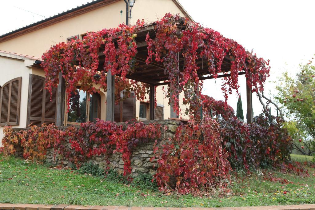 Vigna Lontana Vila Montescudaio Exterior foto