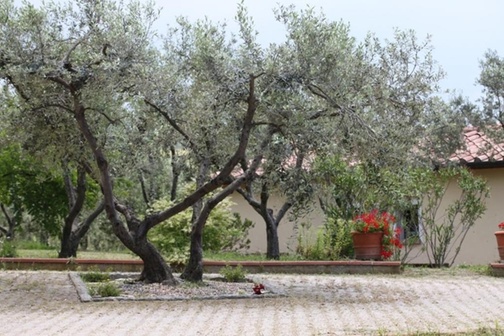 Vigna Lontana Vila Montescudaio Exterior foto